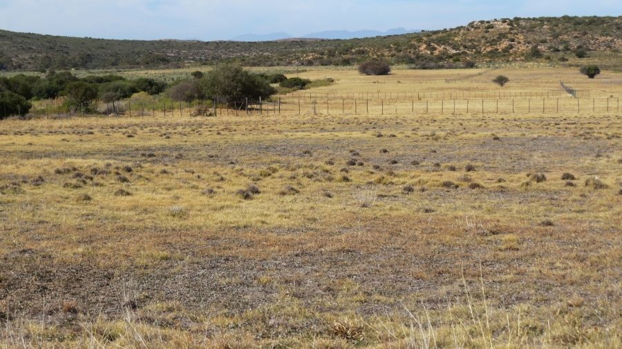 Commercial Property for Sale in Ladismith Rural Western Cape